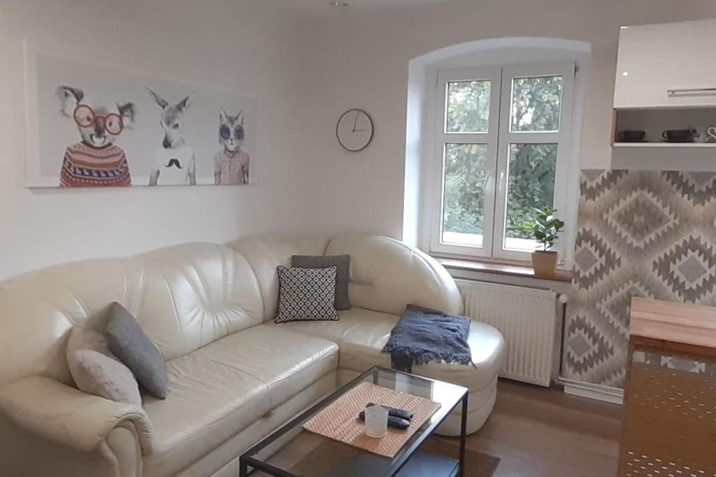 Lemuria Apartament Szkolna Centrum Legnica Luaran gambar